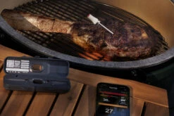 HerQs Pin Probe -Keuken Grill Winkel image 1182