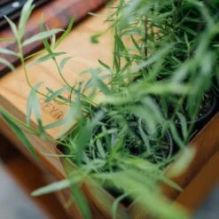 OFYR Island Corten 100 PRO -Keuken Grill Winkel image 139