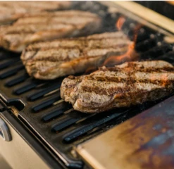 Masterbuilt Portable Charcoal Grill 15 Masterbuilt Portable Charcoal Grill -Keuken Grill Winkel image 540