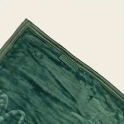 Big Green Egg Fleecedeken 7 Big Green Egg Fleecedeken -Keuken Grill Winkel image 773