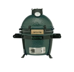 Big Green Egg Mini + Carrier